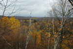 The view